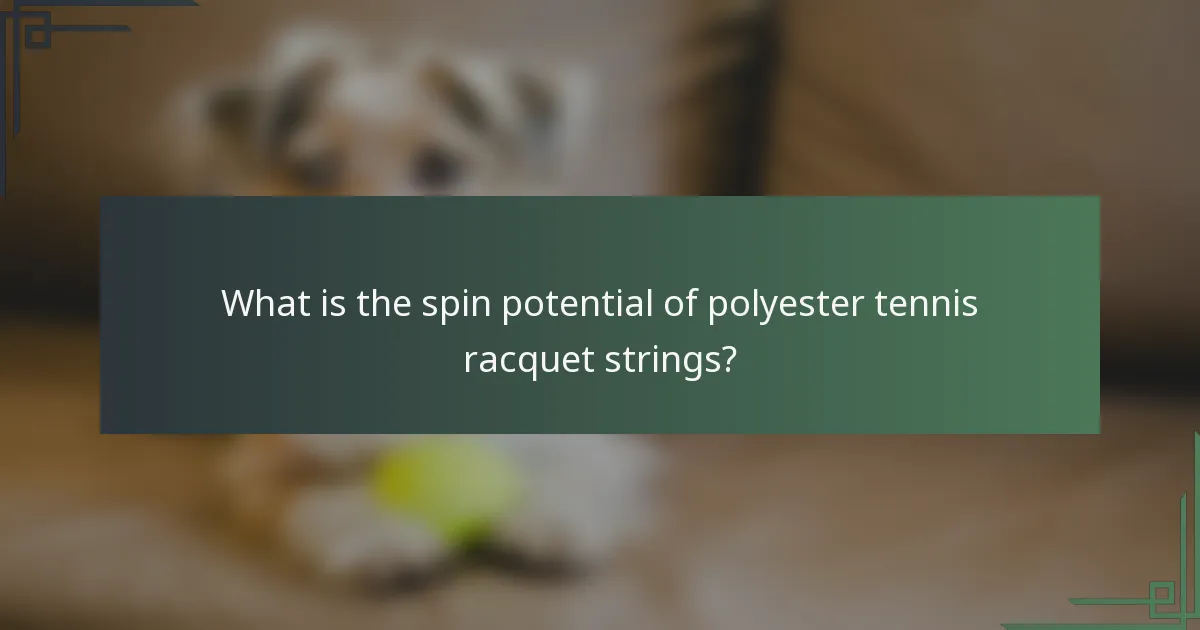 What is the spin potential of polyester tennis racquet strings?